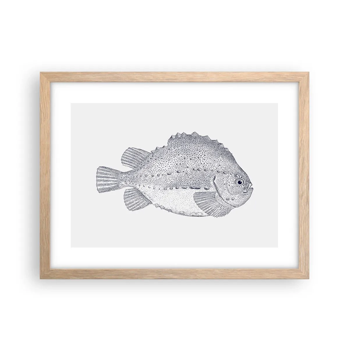 Poster în ramă de stejar deschis - Pentru albumul naturalistului - 40x30 cm