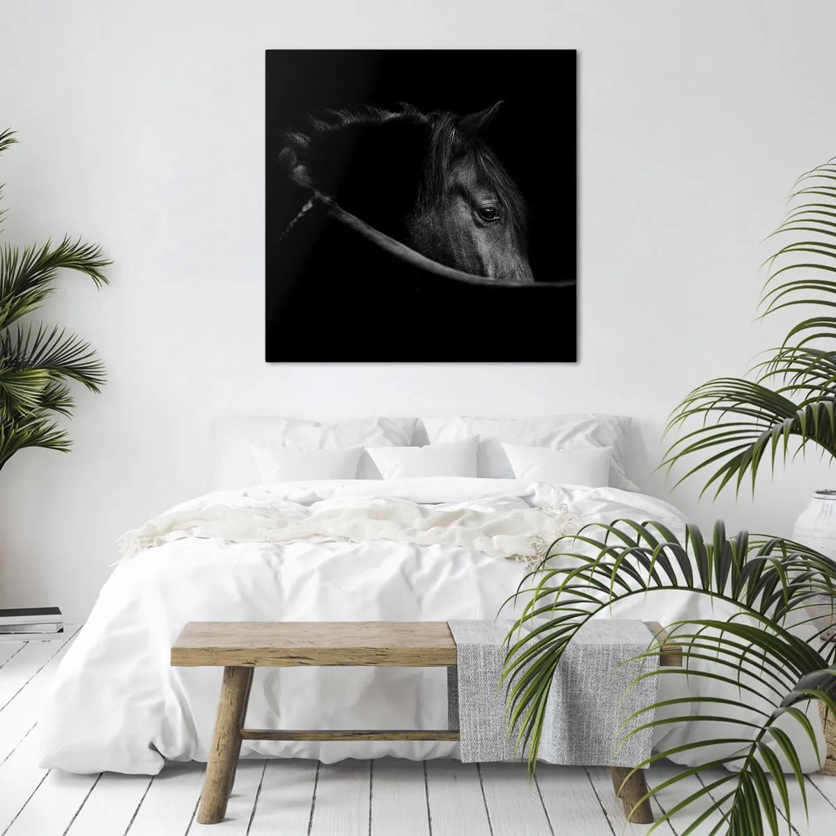 Tablou pe pânză - Prințul negru - 50x50 cm