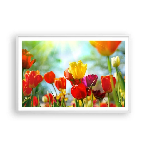 Poster în ramă albă - Toate culorile soarelui - 91x61 cm