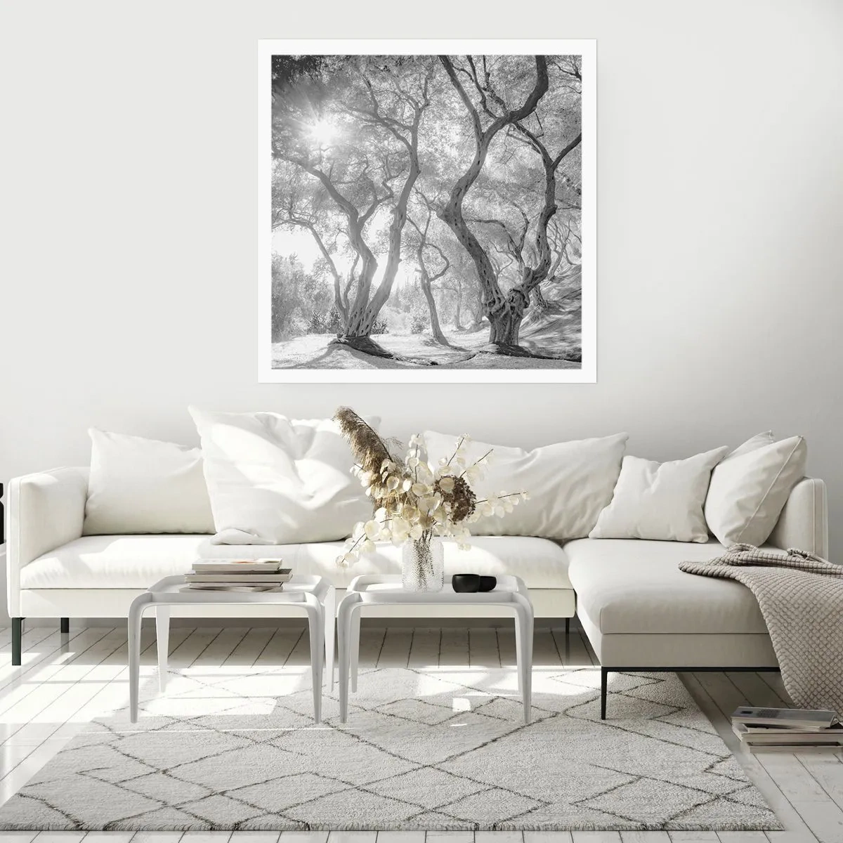 Poster - Într-o livadă de măslini - 50x50 cm