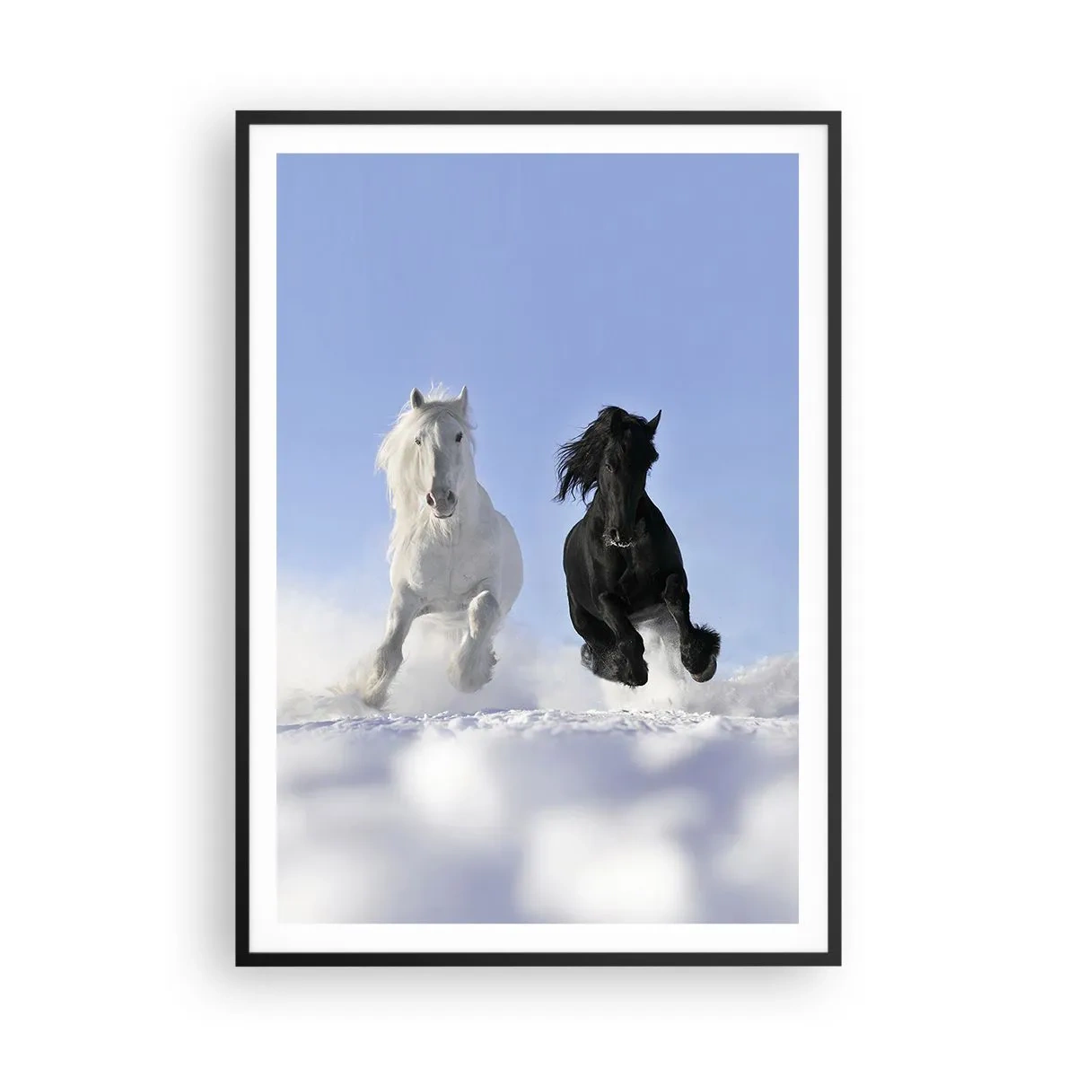 Poster în ramă neagră - Galop de alb și negru - 70x100 cm