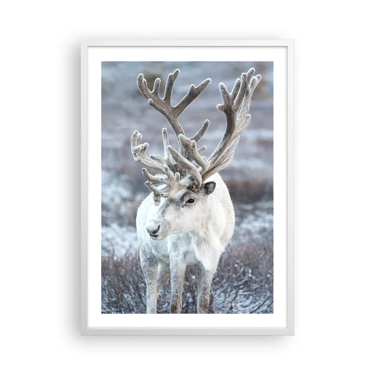 Poster în ramă albă - Portret la soare - 50x70 cm