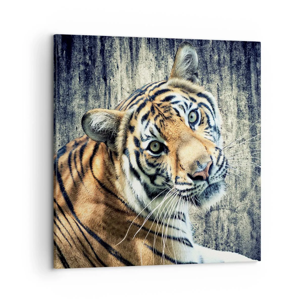 Tablou pe pânză - Portret în fluxuri de lumină - 50x50 cm