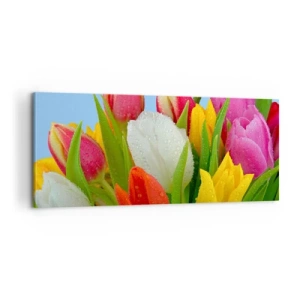 Tablou pe pânză - Un curcubeu floral în picături de rouă - 100x40 cm