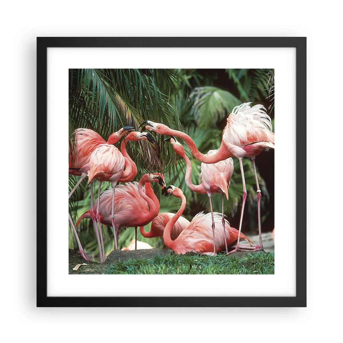 Poster în ramă neagră - Bârfa de după-amiază - 40x40 cm