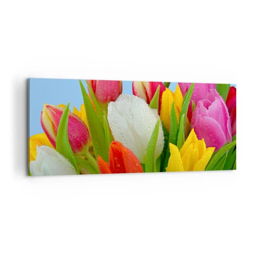 Tablou pe pânză - Un curcubeu floral în picături de rouă - 100x40 cm