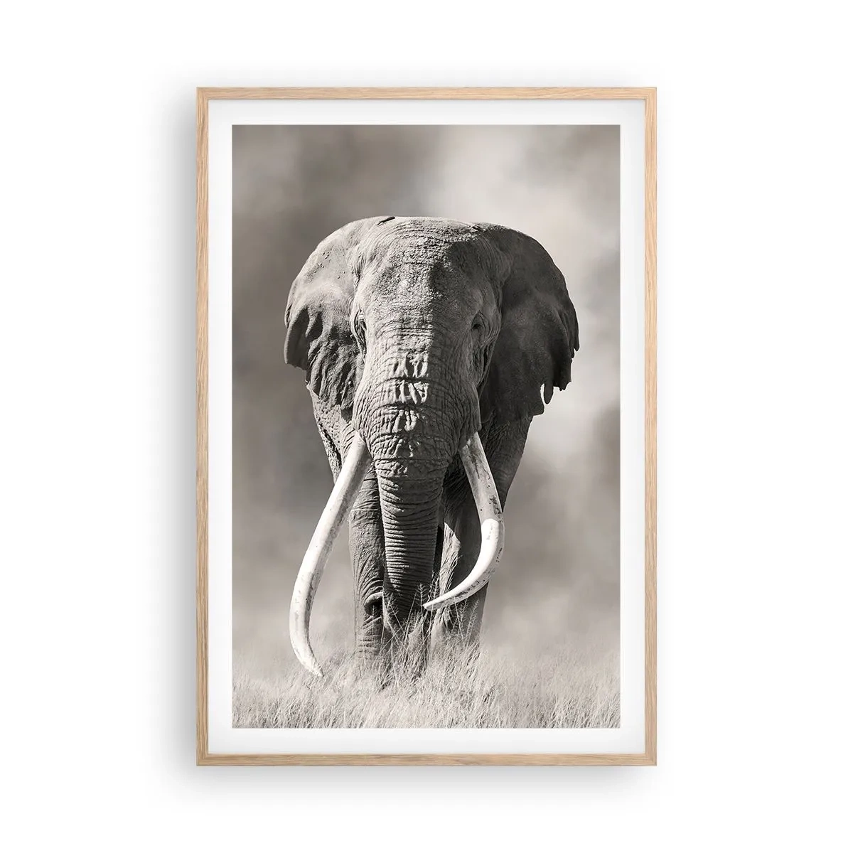Poster în ramă de stejar deschis - Patriarh african - 61x91 cm