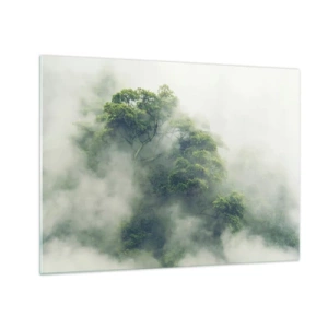 Tablou pe sticlă - Copaci de pădure tropicală care ies din ceața densă - 70x50cm - Înfășurate în ceață - Decorațiune modernă pentru perete pentru living și dormitor ARTTOR