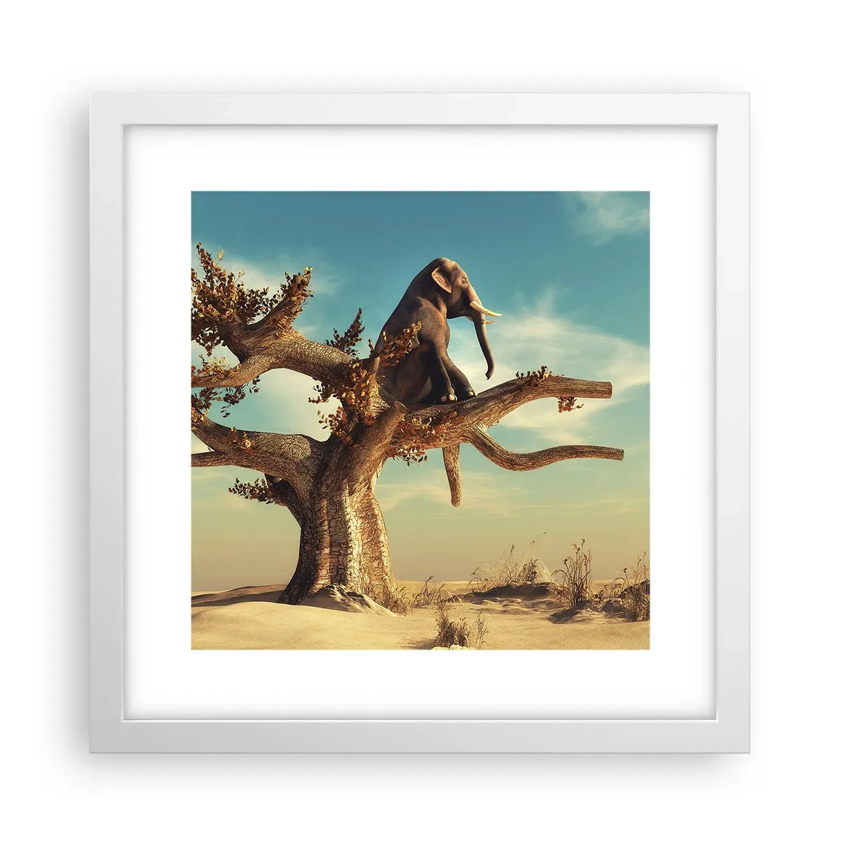 Poster în ramă albă - Un nou punct de vedere - 30x30 cm