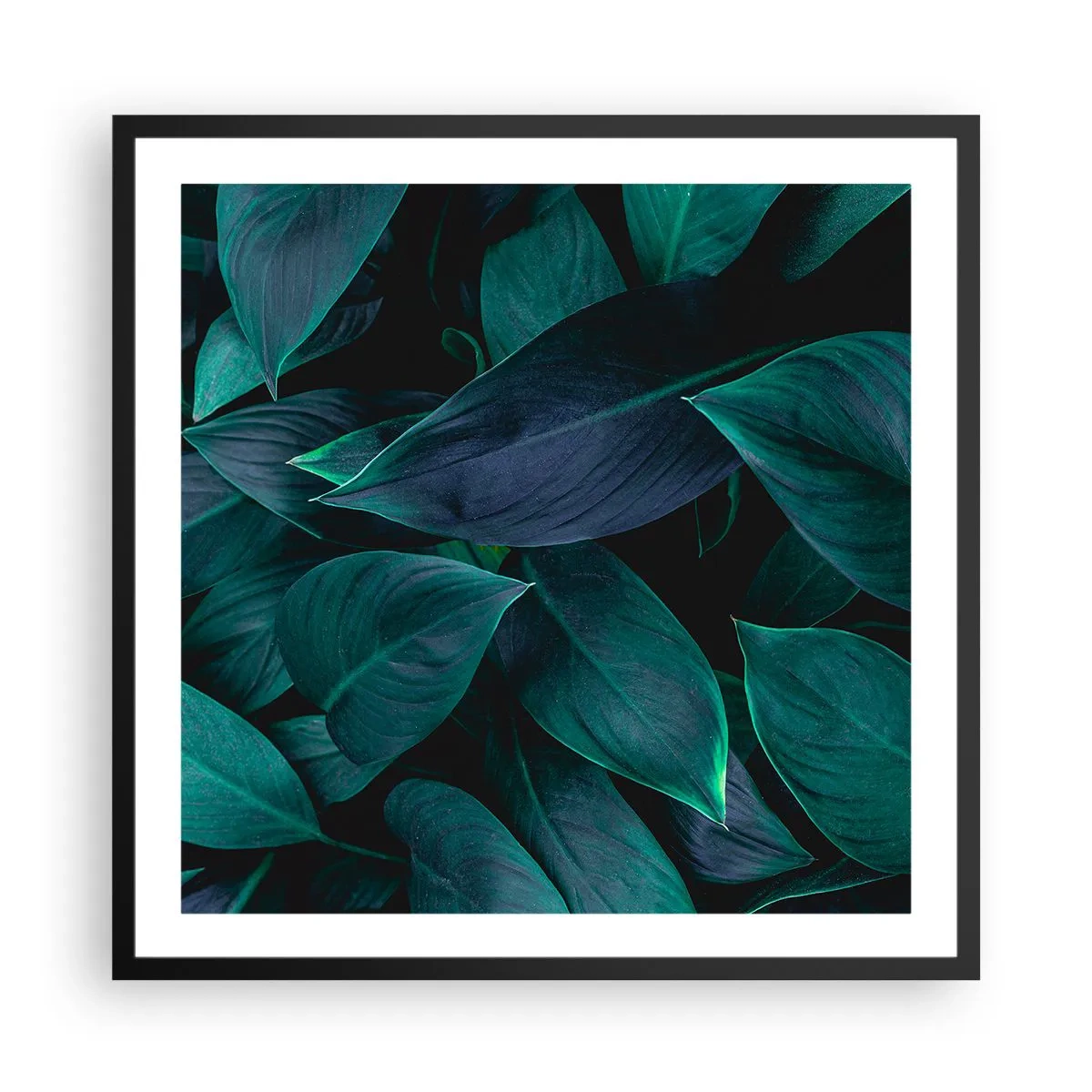Poster în ramă neagră - Verdeața în sine - 60x60 cm