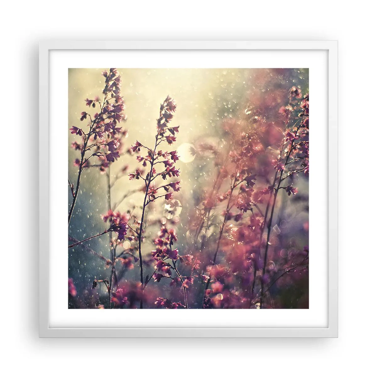 Poster în ramă albă - Grădina secretă - 50x50 cm