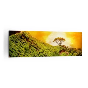 Tablou pe pânză - O cărare sinuoasă, o pantă verde - 160x50 cm