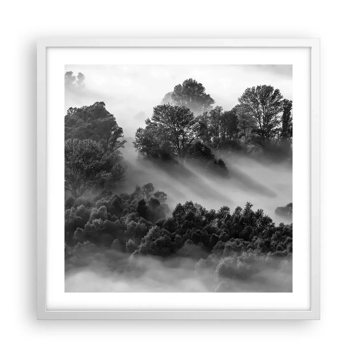 Poster în ramă albă - Trezindu-se din somn - 50x50 cm