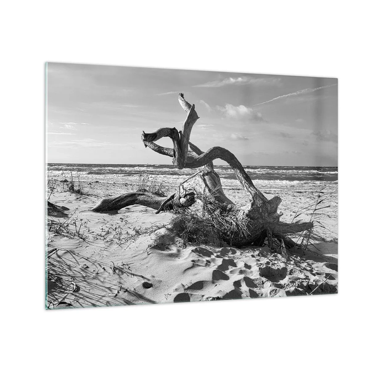 Tablou pe sticlă - Un peisaj alb-negru cu o creangă căzută pe o plajă de pe malul mării. - 70x50cm - Sculptură marină - Decorațiune modernă pentru perete pentru living și dormitor ARTTOR