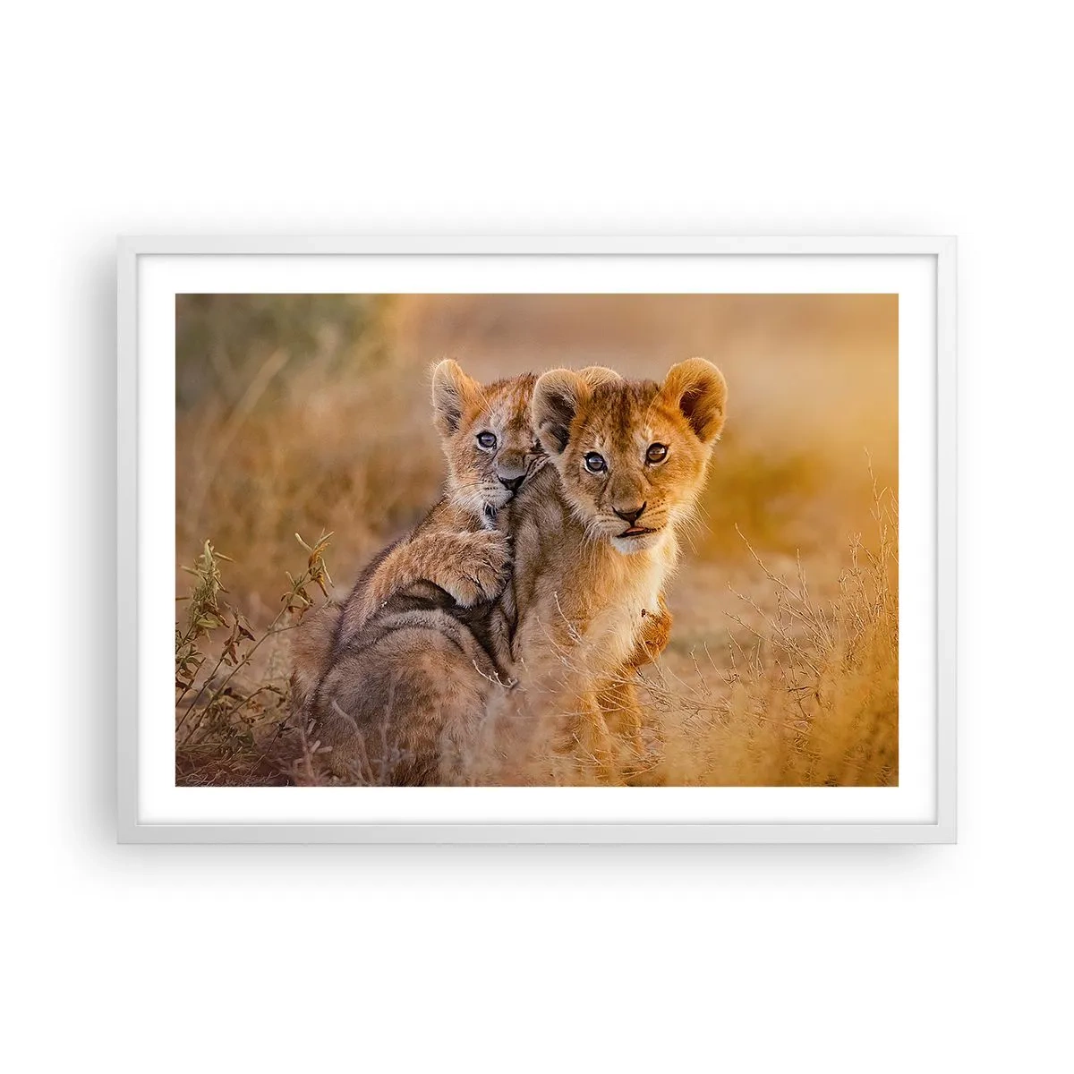 Poster în ramă albă - Nu deranjați! Ne distrăm - 70x50 cm