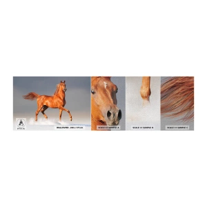 Mostră tapet Premium Canvas - Dansul grației - Animale, Cal, Natură - 100x30 cm