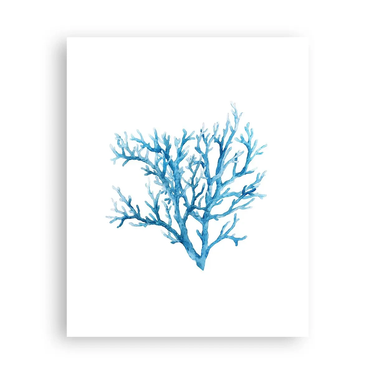 Poster - Filigranul marin - 40x50 cm