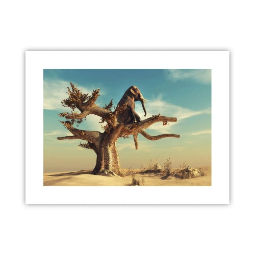 Poster - Un nou punct de vedere - 40x30 cm