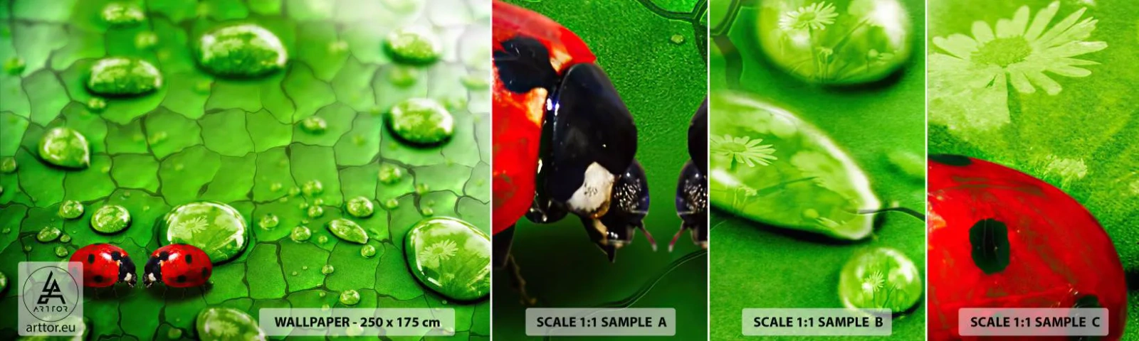 Mostră de Tapet Standard Eco - Întâlnire în verde - Natură, Buburuza, O picătură de apă - 100x30 cm