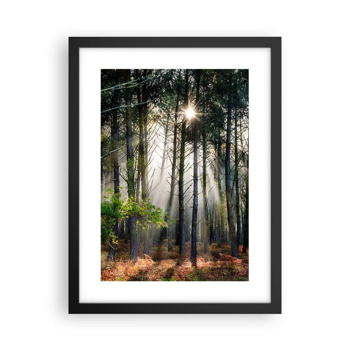 Poster în ramă neagră - Pădure sălbatică - 30x40 cm