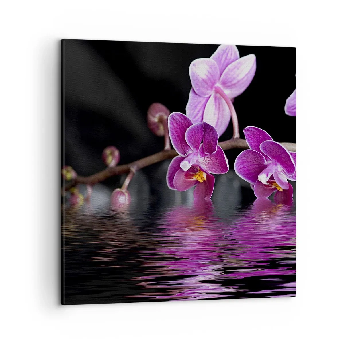 Tablou pe pânză - Reflecție de frumusețe în liliac - 50x50 cm
