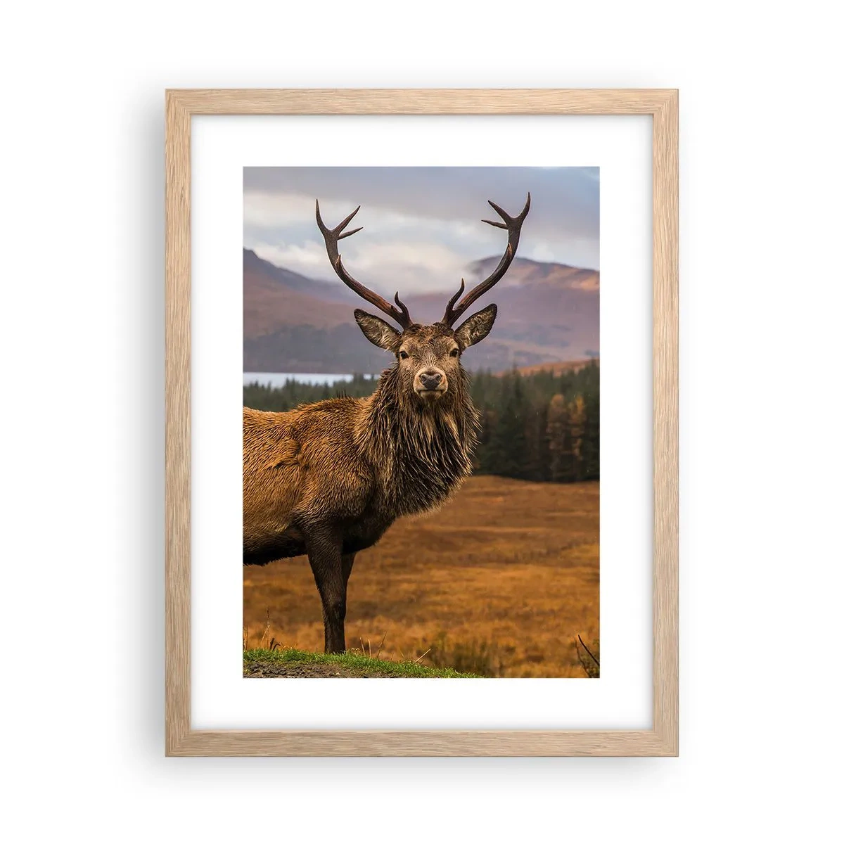 Poster în ramă de stejar deschis - Măreția naturii - 30x40 cm