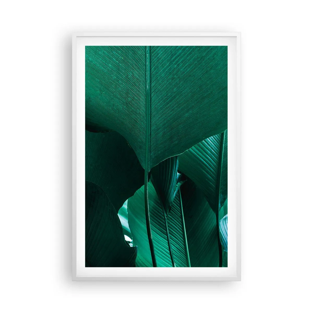 Poster în ramă albă - Cu frunza la lumină - 61x91 cm