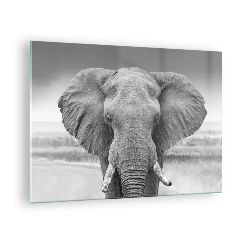 Tablou pe sticlă - Portret alb-negru al unui elefant în savană - 70x50cm - Bun venit în lumea mea - Decorațiune modernă pentru perete pentru living și dormitor ARTTOR
