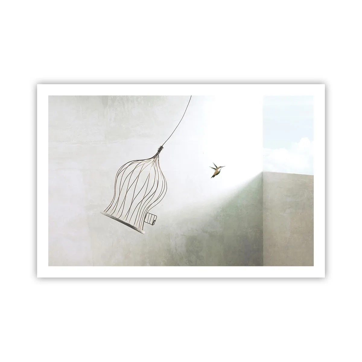 Poster - Eliberat - 91x61 cm