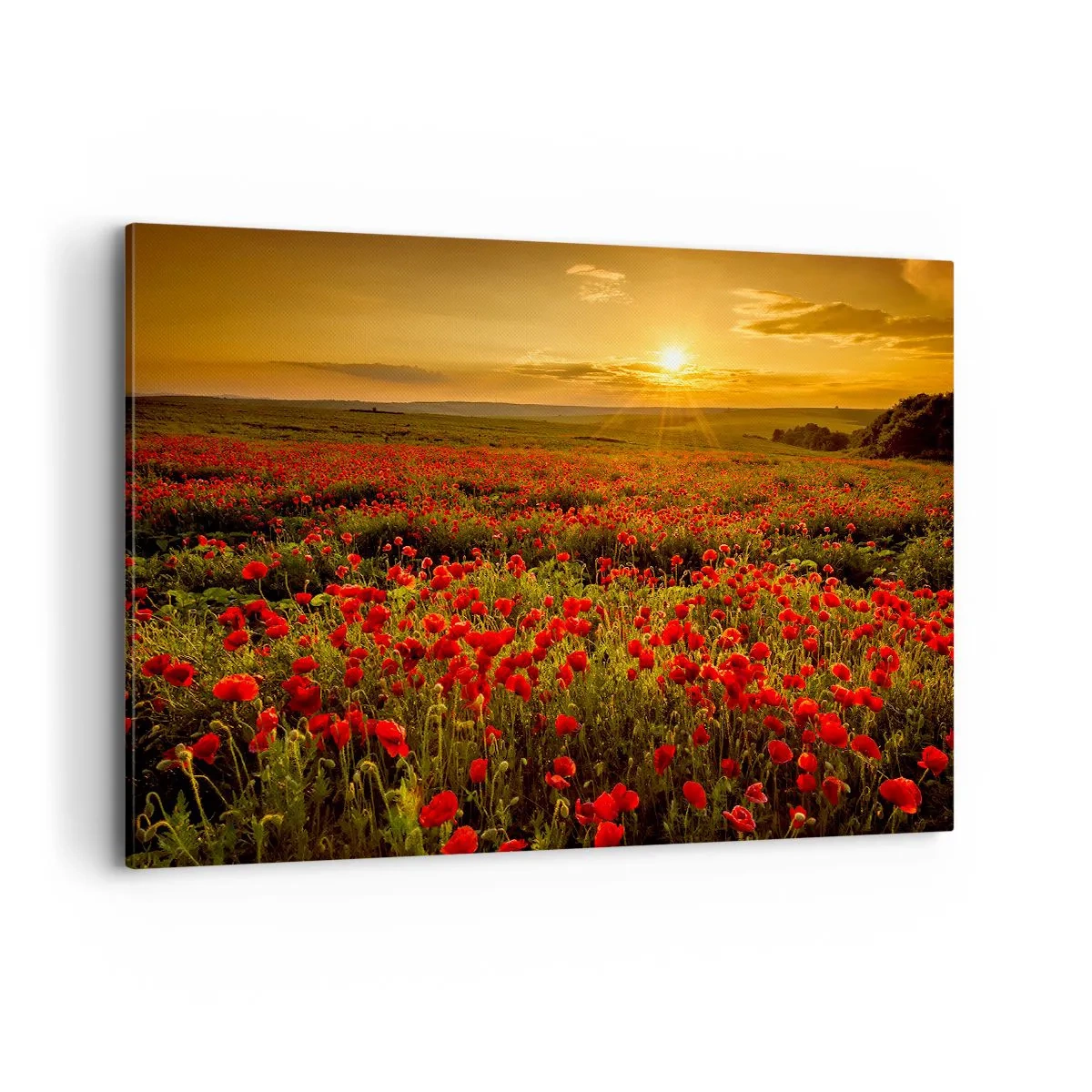 Tablou pe pânză - Printre valuri de pajiști care zumzăie, printre potop de flori - 120x80 cm