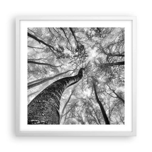 Poster în ramă albă - Cursa spre lumină - 50x50 cm