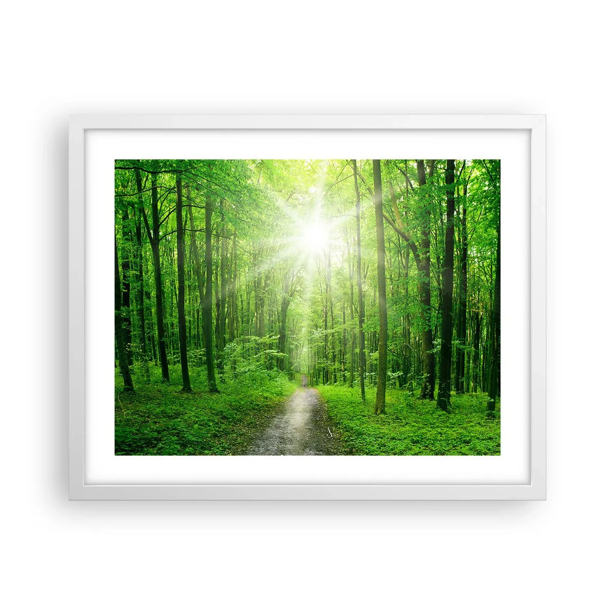 Poster în ramă albă - Catedrala verde - 50x40 cm