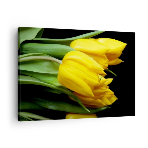 Tablou pe pânză Canvas - Un buchet de lalele galbene pe fundal negru - 70x50cm - Răsărind din soarele pur - Decorațiune modernă pentru perete pentru living și dormitor ARTTOR