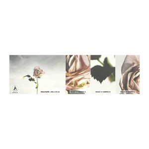 Mostră de Tapet Standard Eco - Primăvara binevenită - Trandafir, Floare, Bucată - 100x30 cm