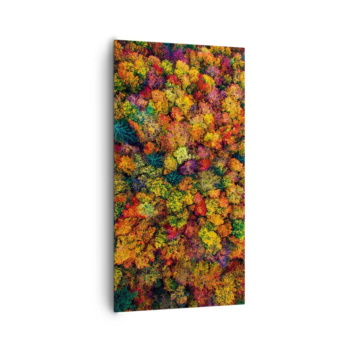 Tablou pe pânză - Buchet de copaci de toamnă - 65x120 cm