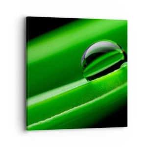 Tablou pe pânză - Viața de aproape - 40x40 cm