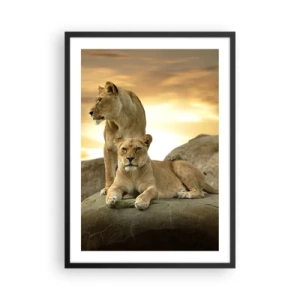 Poster în ramă neagră - Două leoaice pe fundalul soarelui apus - 50x70cm - Maiestate regală - Decorațiune modernă pentru perete pentru living și dormitor ARTTOR