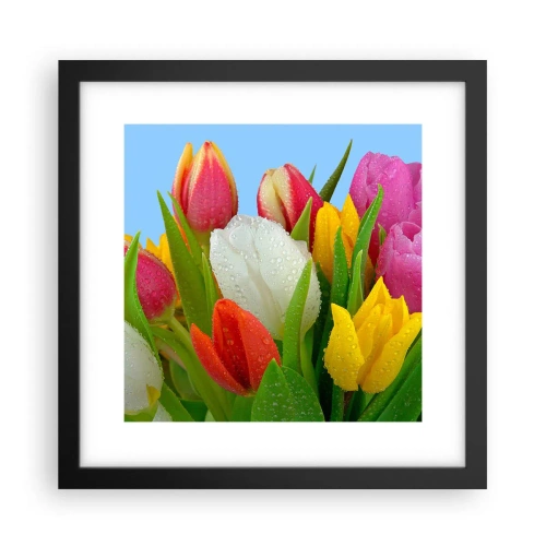 Poster în ramă neagră - Un curcubeu floral în picături de rouă - 30x30 cm
