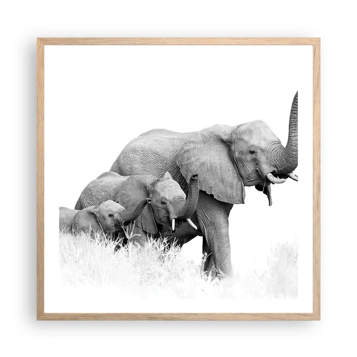 Poster în ramă de stejar deschis - Unu, doi, trei - 60x60 cm