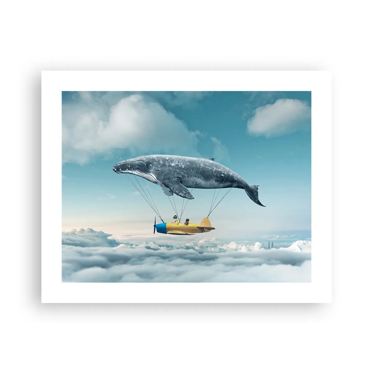 Poster - De ce nu? - 50x40 cm