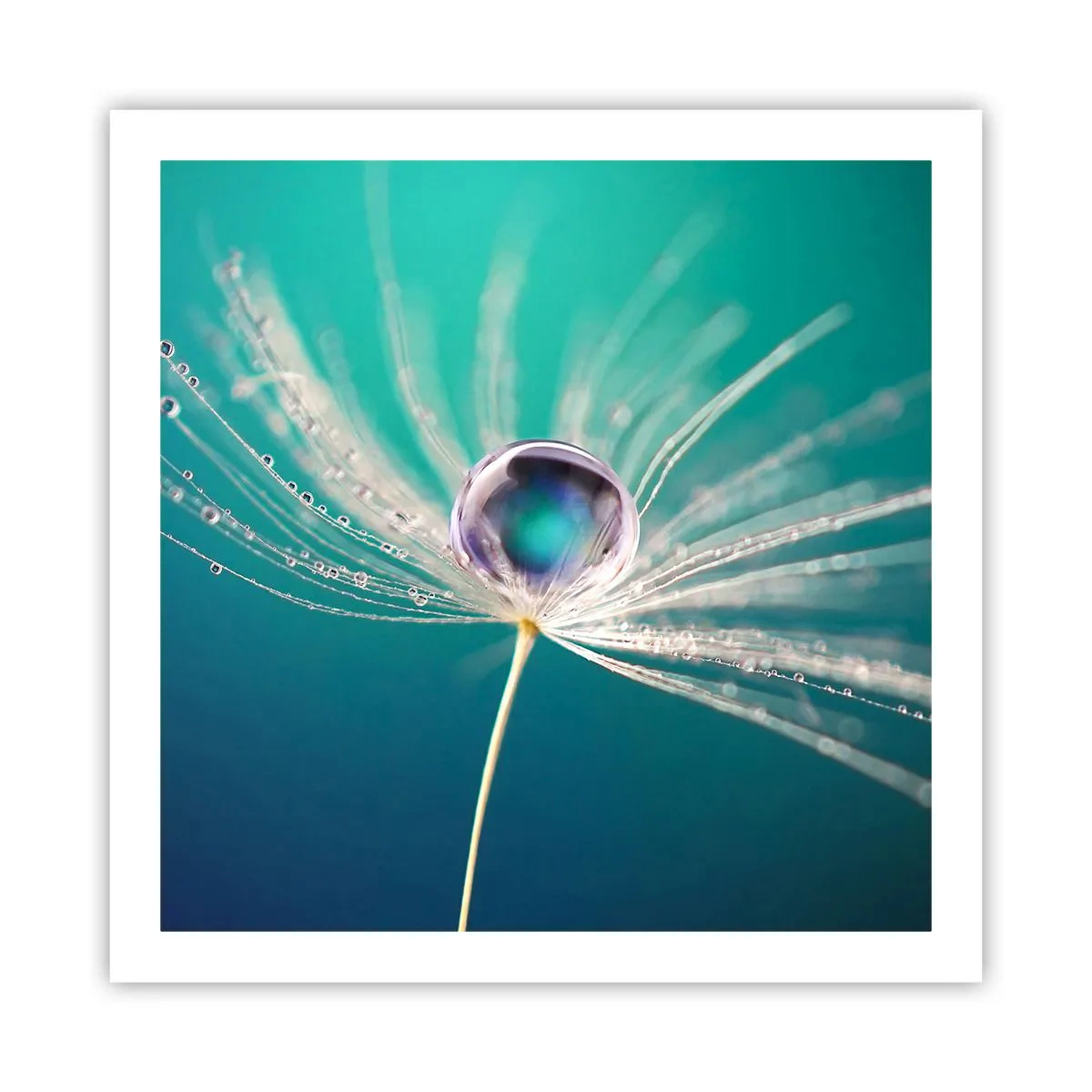 Poster - Moment mistic - 60x60 cm