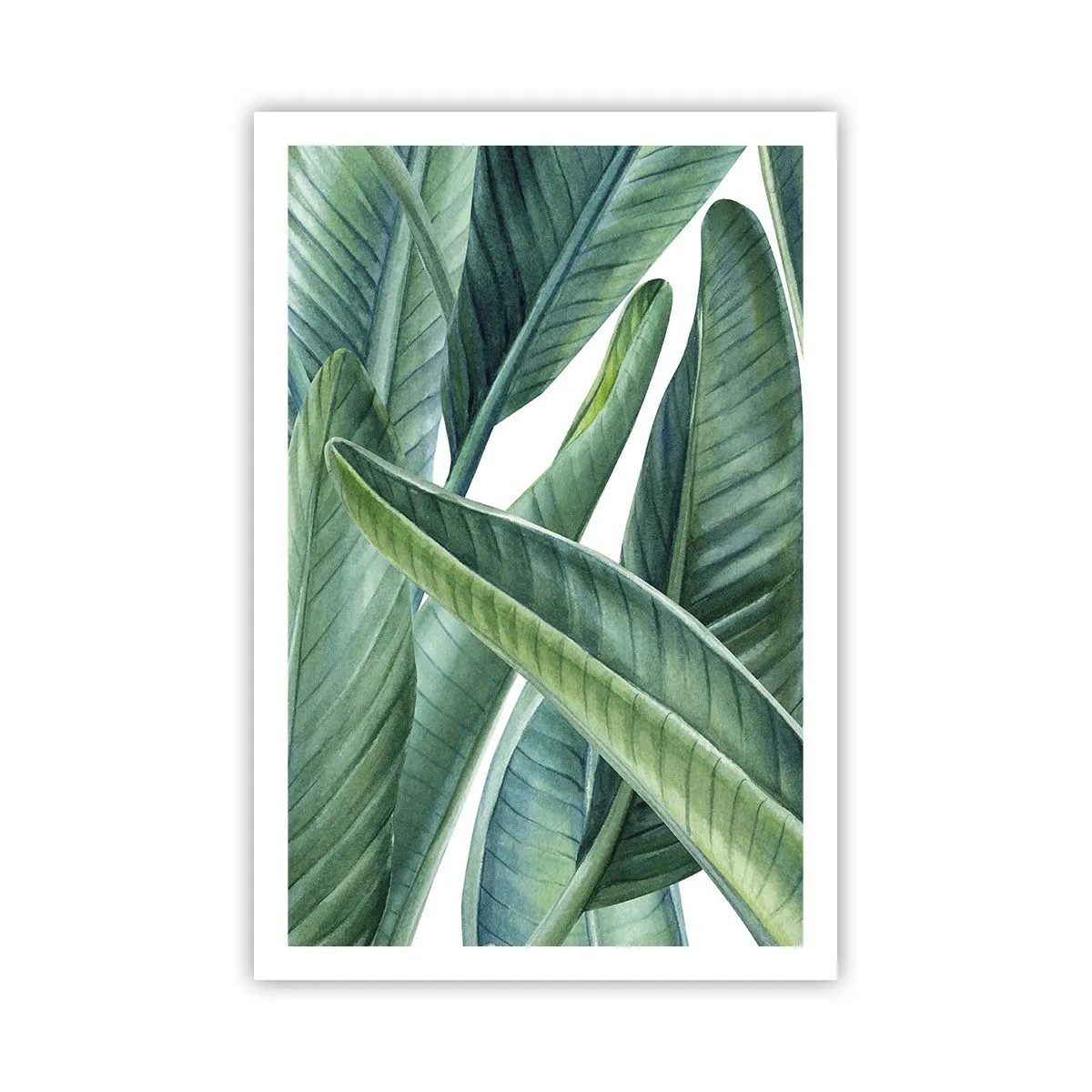 Poster - Verdeața în sine - 61x91 cm