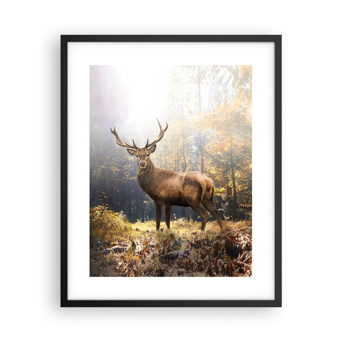 Poster în ramă neagră - Măreție calmă - 40x50 cm