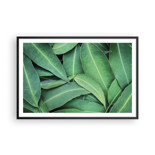 Poster în ramă neagră - Suculente și proaspete - 91x61 cm