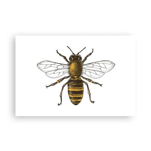 Poster - Frumoasă și bună - 91x61 cm