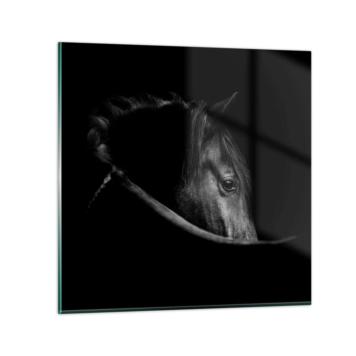 Tablou pe sticlă - Prințul negru - 40x40 cm