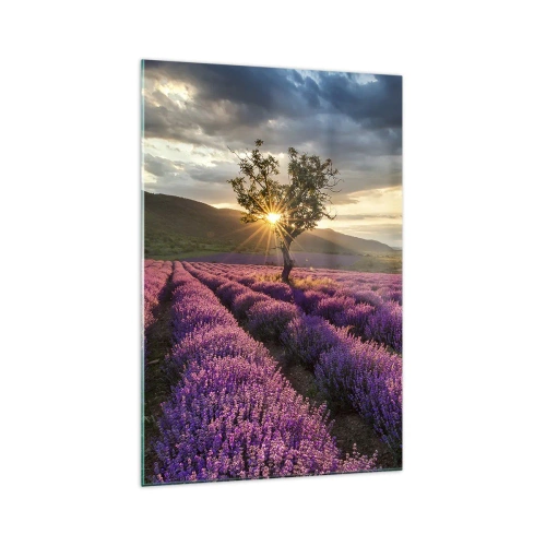 Tablou pe sticlă - Aroma în liliac - 70x100 cm