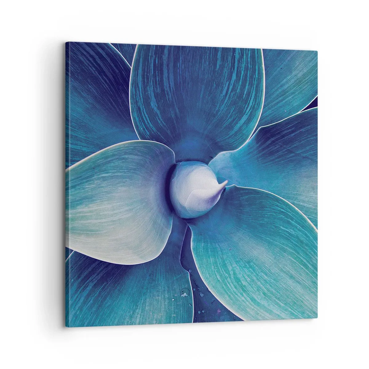 Tablou pe pânză - A furat albastrul de la cer - 60x60 cm