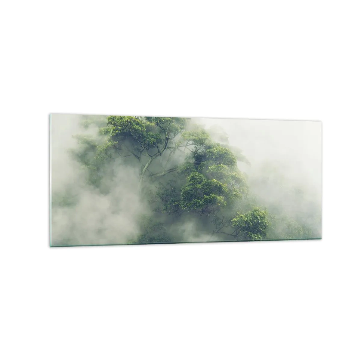 Tablou pe sticlă - Înfășurate în ceață - 120x50 cm