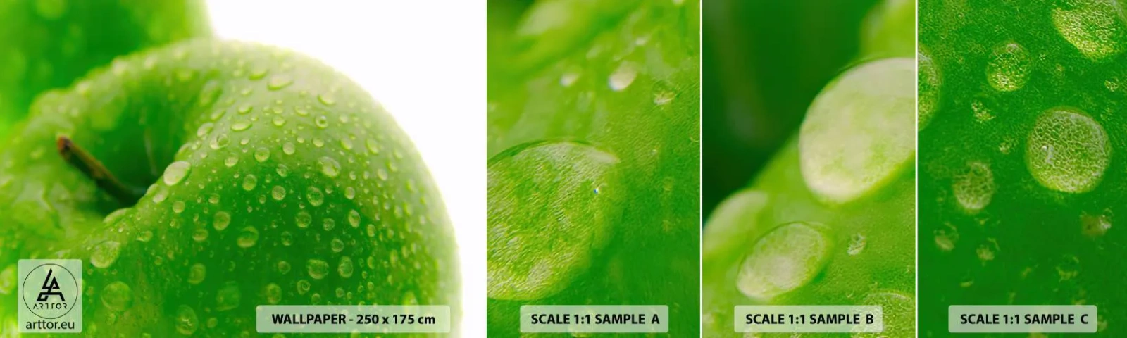 Mostră de Tapet Standard Eco - Prospețime verde rece - Fructe, Măr, Gastronomie - 100x30 cm